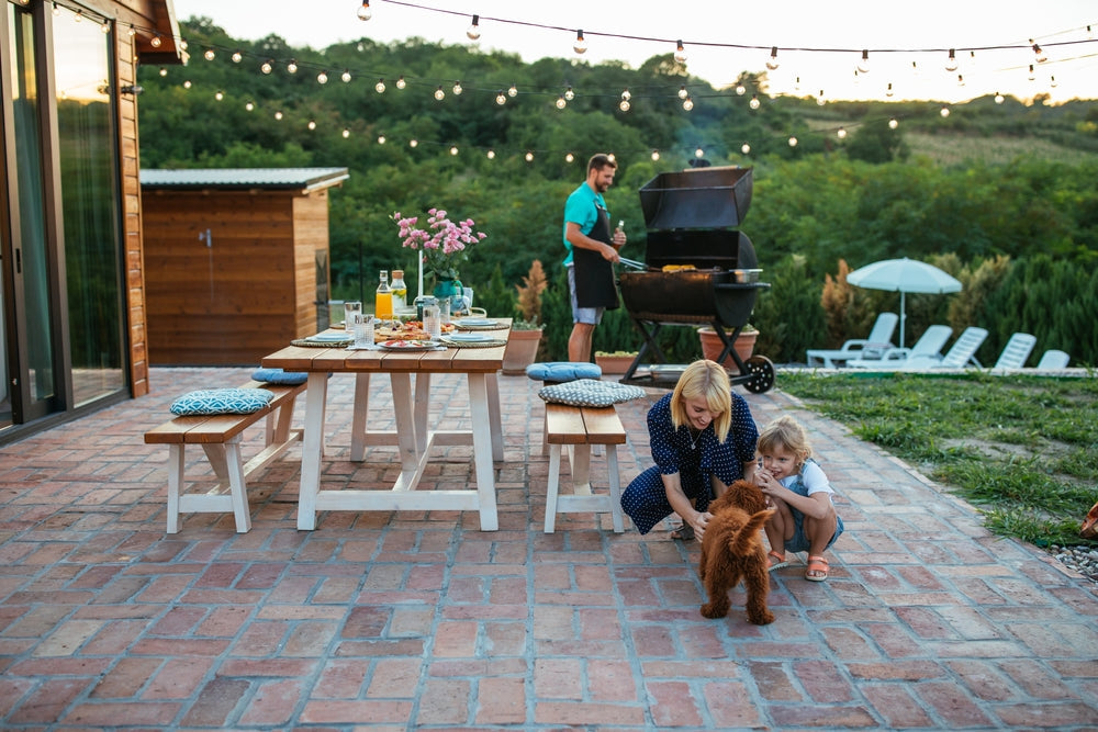 Remove Dog Urine Smell from Concrete & Pavers (Fast, Proven Method)