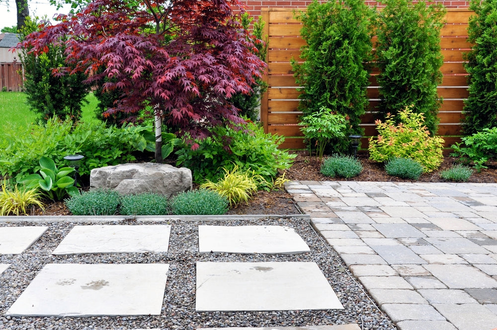 Remove Dog Urine Smell from Decomposed Granite &amp; Gravel (Fast)